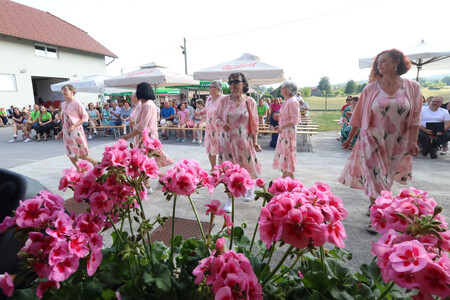 Kulturna prireditev Na lepi Menišiji 18 foto Ljubo Vukelič